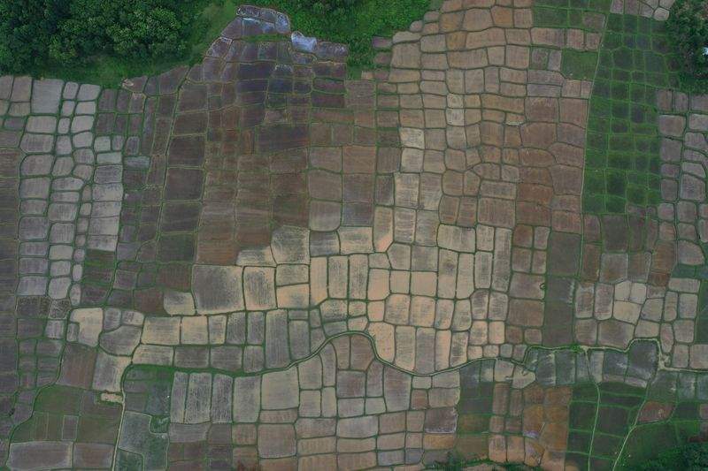 AgroLínea del Ebro, S.L. 1